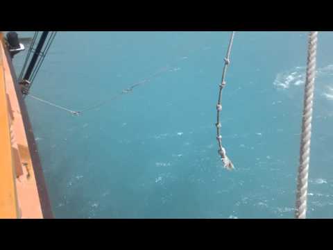 Celebrity Summit Cruise - Rope Swing in Barbados