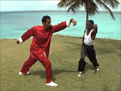 Barbados Tai Chi  - 5 Animal frolics medical Qigong Health Exercises - DEER intro