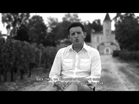 Travel to Bordeaux: Meet Winemaker José Rodrigues, Chateau de Castres