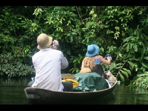 Pacaya Samiria National Reserve Cruise HD