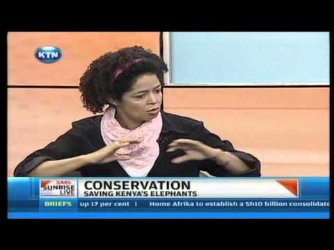 Sunrise Live Interview : Wildlife Conservation - Saving Kenya's Elephants