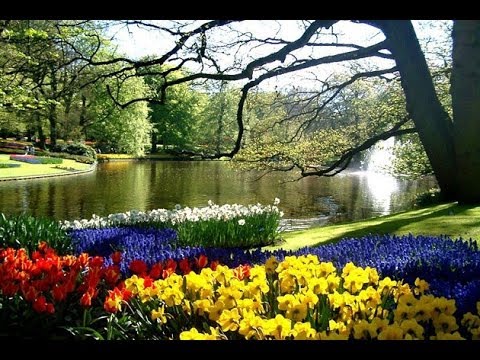 Holland & Belgium Cruise, Tour,Travel, Vacation HD