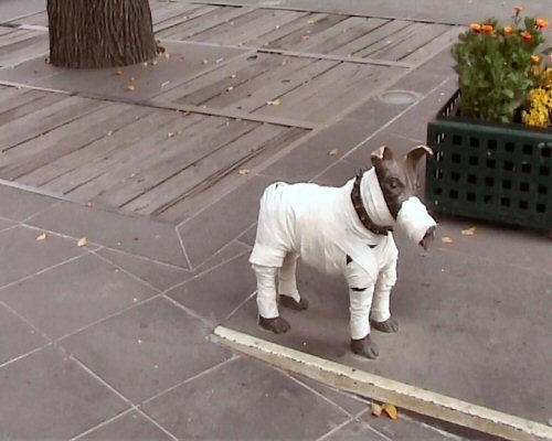 Dog sculpture at City Square swather in bandages