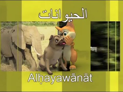 Arabic for kids DVD set - greetings & animals - Arabic learning for children