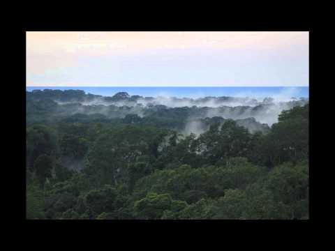 Beautiful Gabon Landscape - hotels accommodation yacht charter guide