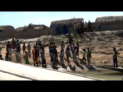 Niger River Blues