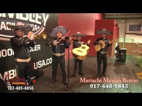 Mariachis De Apizaco Emilio Sanches Piedras y Venustiano Carranza- 917 648 5843