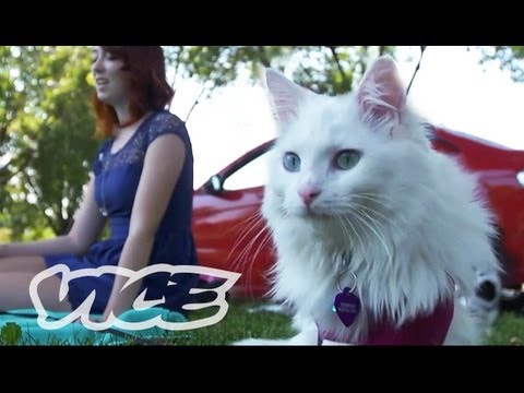 The Real Cat Ladies of Minneapolis