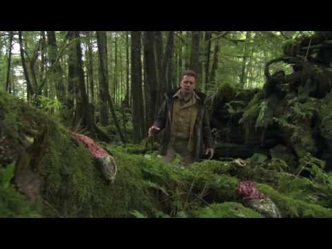 BBC Documentary -  The Magical Forest (HD)