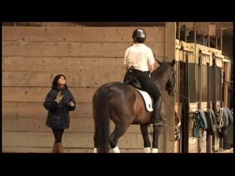 Dressage Teacher Jane Savoie Explains How To Adjust Your Horse's Balance so He's More Uphill