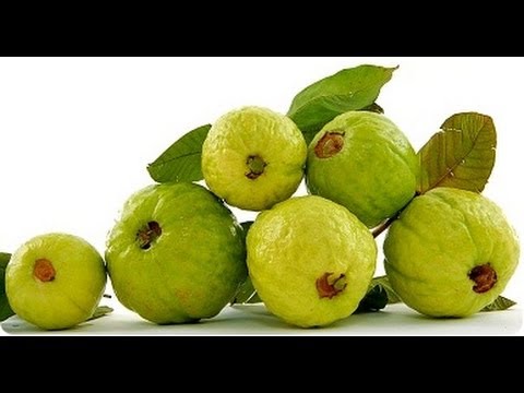 Top 10 Benefits of Guava - Guava Benefis - Health Benefits of Guava