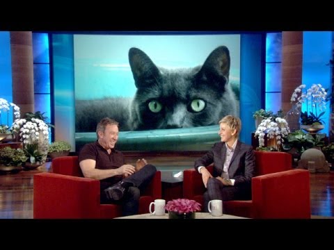 Tim Allen's Huge Cat