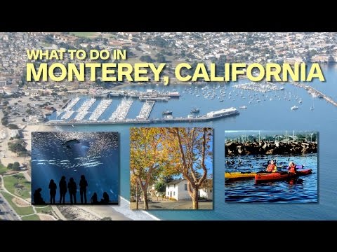 What to do in Monterey