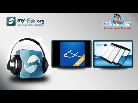 my fish org - Interview mit Daniel Rindt - Der Aquarium Manager eine Smartphone App