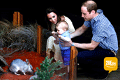 William & Kate with son George at Taronga Zoo