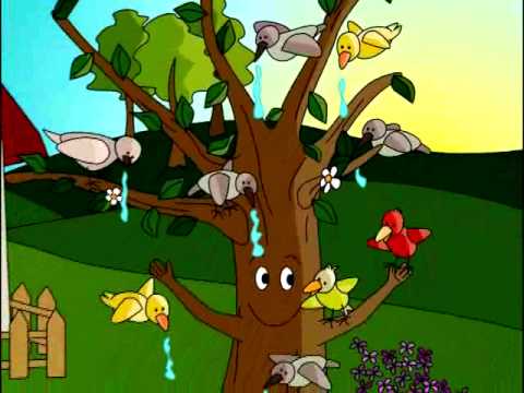 El Viejo Árbol. Cuento Infantil.