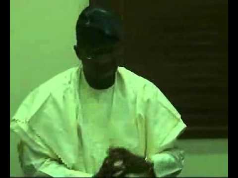 Fashola Receives EU Observer Mission For 2011 Elections