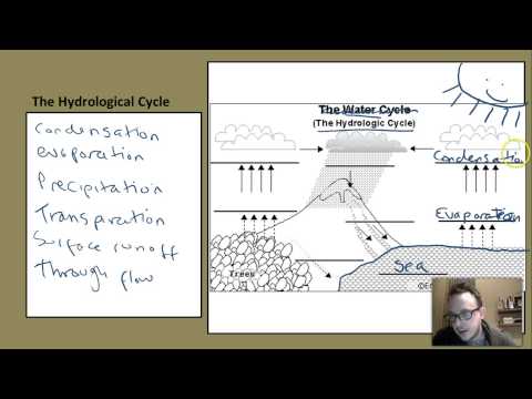 The Hydrological Cycle and Drainage Basin Systems