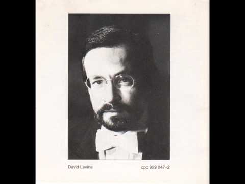 DAVID LEVINE plays SCHUBERT Sonate D Dur D 850 1