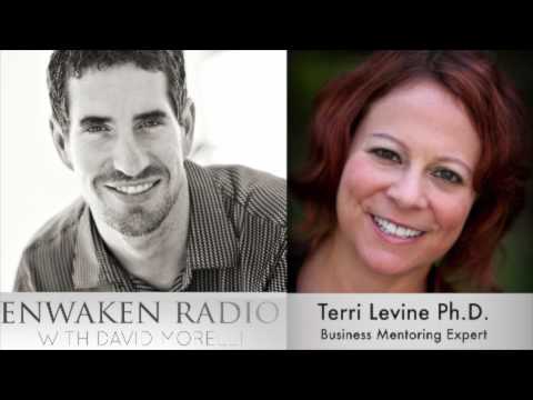 Interview with Terri Levine - By David Morelli of Enwaken Radio