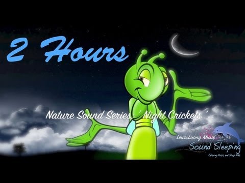 Crickets nature sounds: Relaxing night sounds for sleep and meditation. 2 Hours (No Music Video)