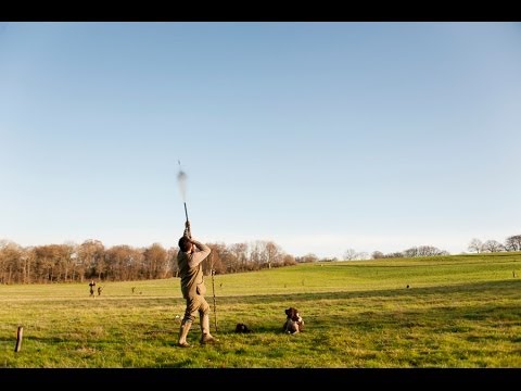 Pheasant Shooting in East Sussex