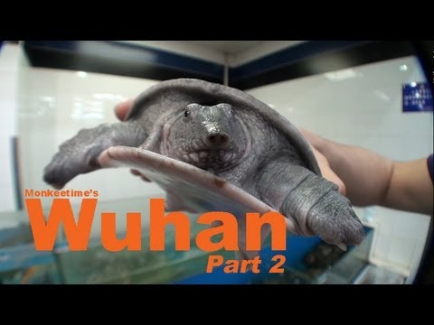 Wuhan (Part 2)