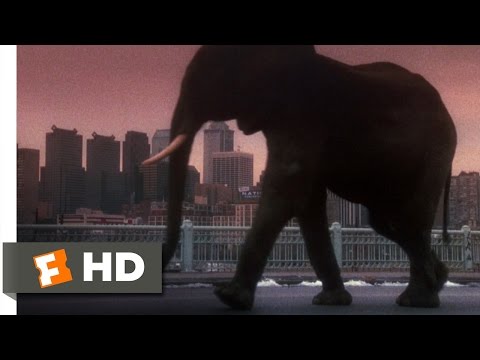 12 Monkeys (10/10) Movie CLIP - Zoo Animals Run Free (1995) HD