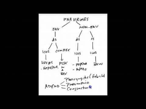 USMLE Step 1 - Classifying DNA & RNA Viruses