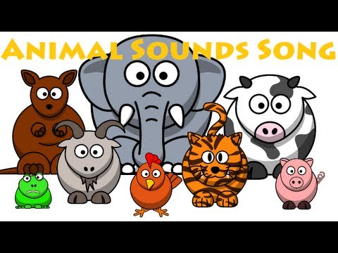 Animal Sounds Song