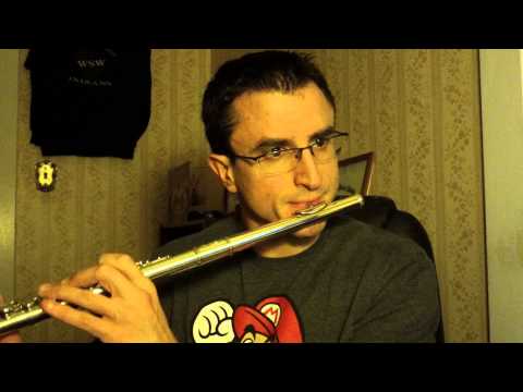 Flute Cover   Lord Of The Rings   The Hobbit by Fran Walsh and Howard Shore