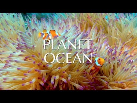 Planet Ocean film - Official Trailer