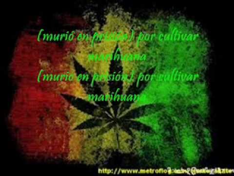 Resistencia suburbana-por cultivar marihuana (letra)