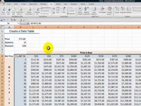 How to Use an Excel Data Table for 