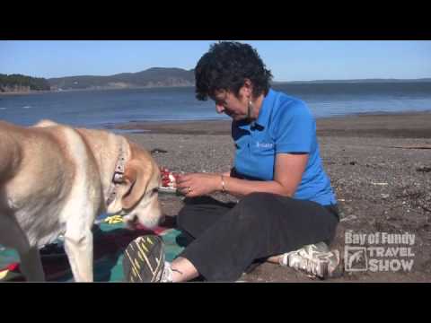 Bay of Fundy Travel Show #8 Fundy National Park, New Brunswick