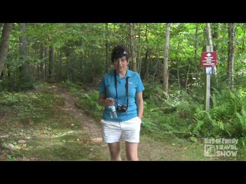 Bay of Fundy Travel Show #9 - Fundy Trail, New Brunswick