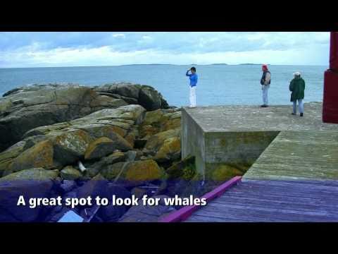 Campobello Island, New Brunswick Bay of Fundy Travel Show Episode 13