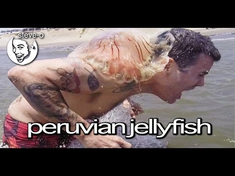 Peruvian Jellyfish Stunt - Steve-O