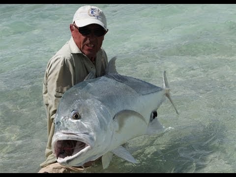 Fly Fishing For GT's On Christmas Island