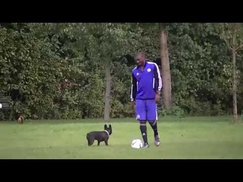 The Togolese Football player Asmiou Ayewa joking with Doggy footballers