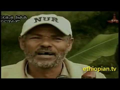 Hadiya, South Ethiopia Music and Culture : Lembaro Helebo