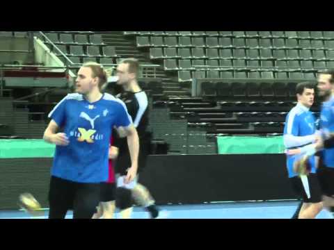 Denmark vs Hungary - Handball World Championships Quarter Final