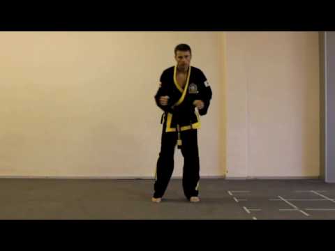 Choi Kwang-Do Pattern-Orange Belt-sen (Moldova)