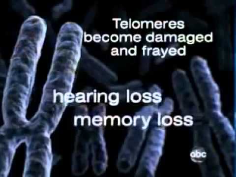 Reverse Aging with Telomeres: The New Anti-Aging Miracle  in the News