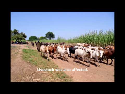 Floods in the North of Benin 2012, CARE Benin-Togo (English)