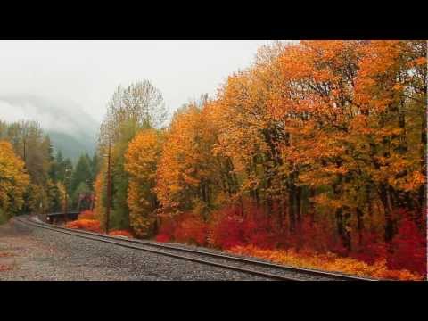 Autumn Foliage in Washington State 2012