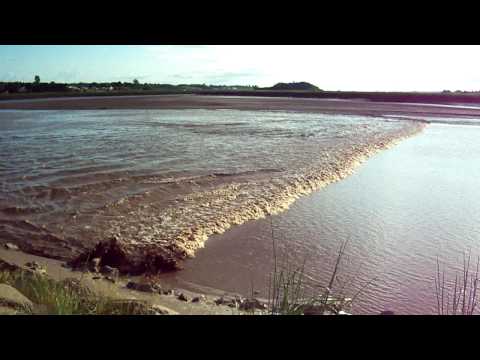 Tidal Bore, Truro, Nova Scotia