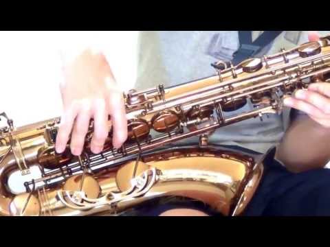 Beginners Tenor Saxophone Tutorial