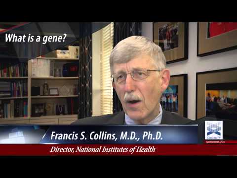 What's a Gene? - Francis Collins