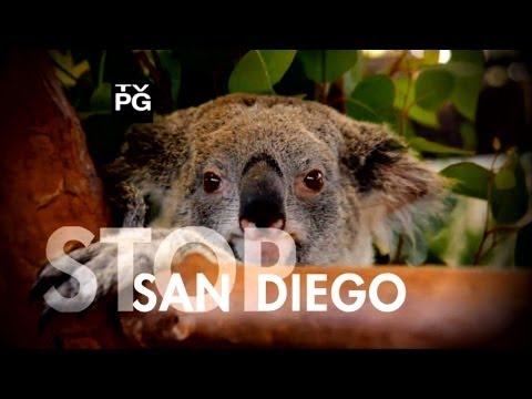 Travel Time - SAN DIEGO (Full Episode)